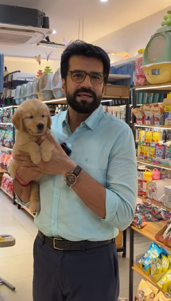 Pet Store